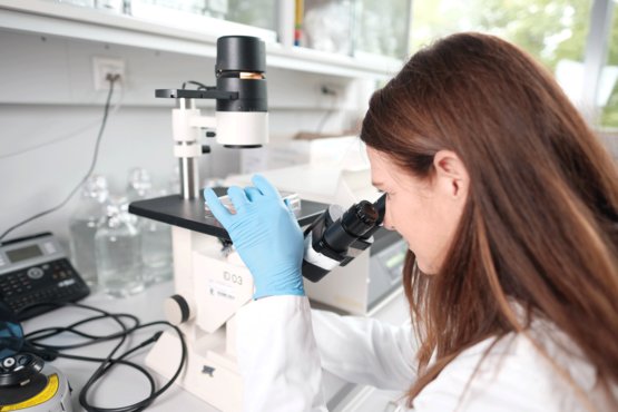 Your career at the Institute