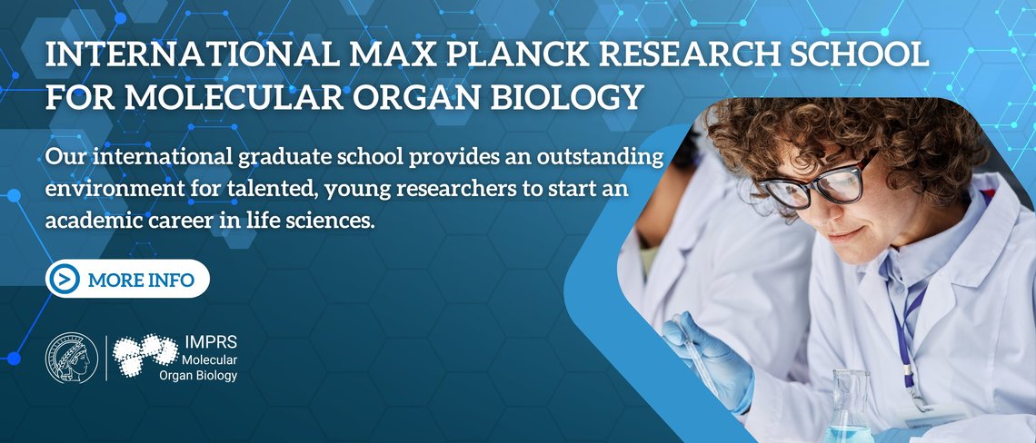 ► Homepage of our IMPRS-MOB