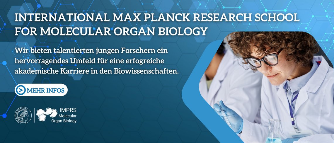 ► Zur Homepage der IMPRS-MOB