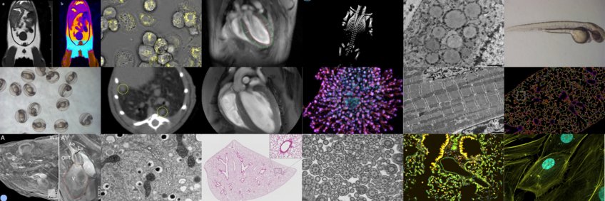 Imaging Platform Imaging Platform