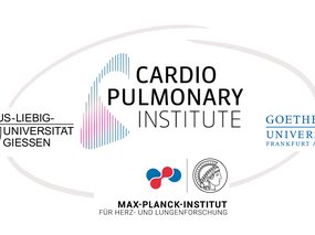 Erneuter Erfolg bei der Exzellenzinitiative