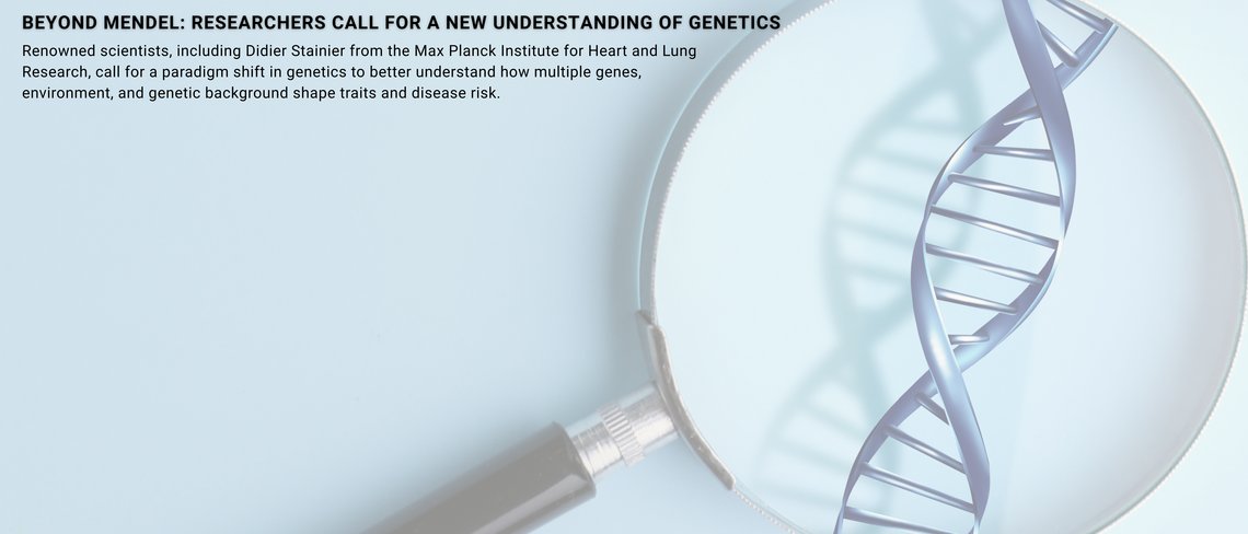 Teaser image with DNA under a magnifying glass