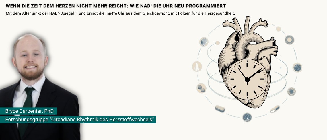 Teaser für Pressemitteilung