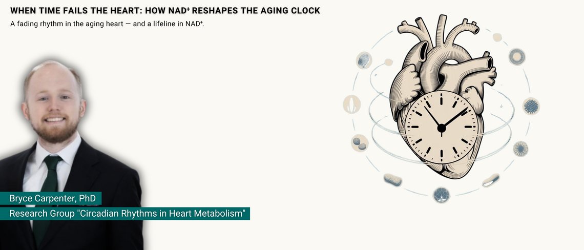 Teaser for Press Release